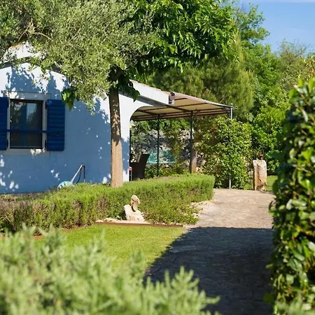 In With Swimming Pool *