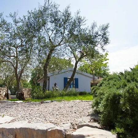 In With Swimming Pool 度假居 Dobrinj