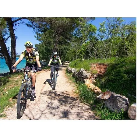 In With Swimming Pool 度假居