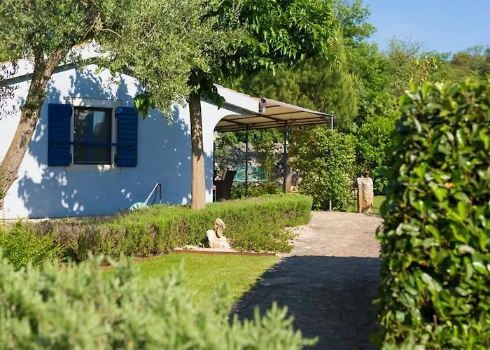 In With Swimming Pool *