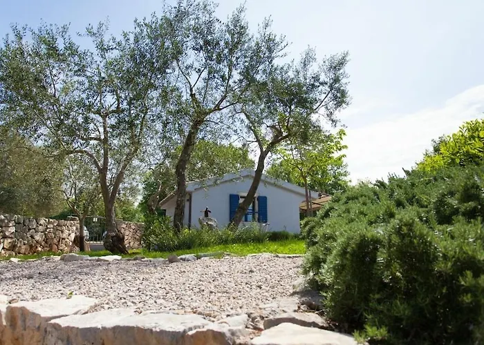 In With Swimming Pool 度假居 Dobrinj