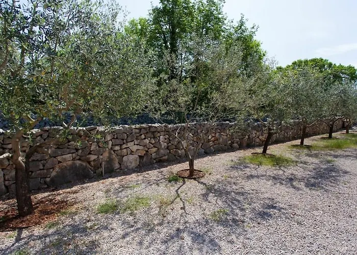 In With Swimming Pool